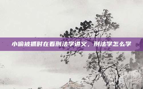 小偷被抓时在看刑法学讲义,刑法学怎么学