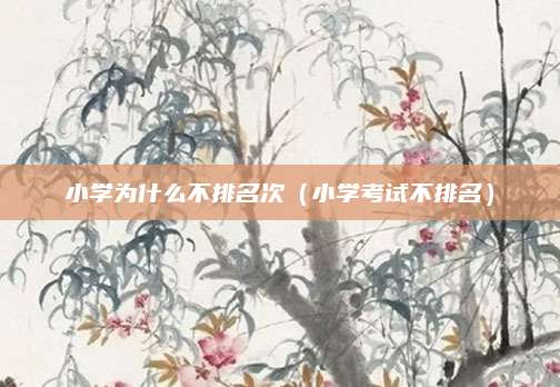 小学为什么不排名次(小学考试不排名)