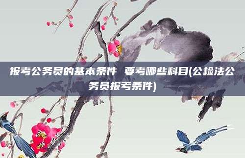 报考公务员的基本条件 要考哪些科目(公检法公务员报考条件)