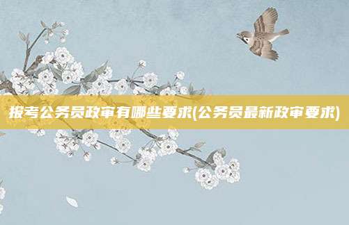 报考公务员政审有哪些要求(公务员最新政审要求)