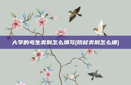 大学的考生类别怎么填写(院校类别怎么填)