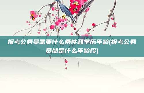 报考公务员需要什么条件和学历年龄(报考公务员都是什么年龄段)