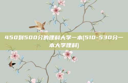450到500分的理科大学一本(510-530分一本大学理科)