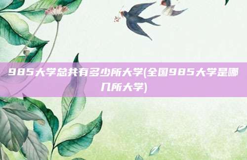 985大学总共有多少所大学(全国985大学是哪几所大学)