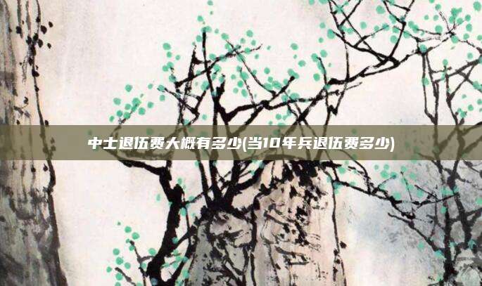 中士退伍费大概有多少(当10年兵退伍费多少)