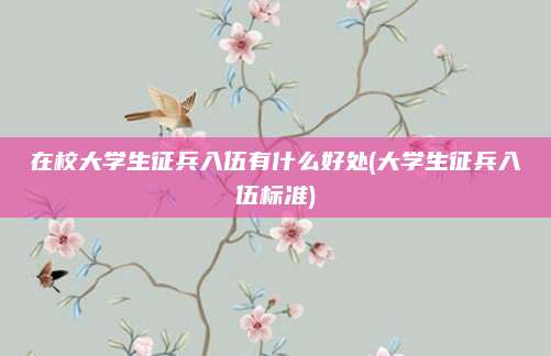 在校大学生征兵入伍有什么好处(大学生征兵入伍标准)