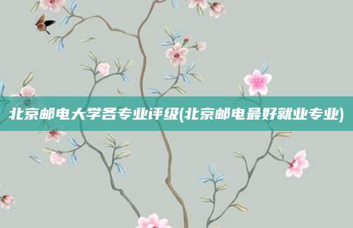 北京邮电大学各专业评级(北京邮电最好就业专业)