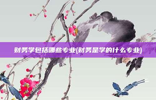 财务学包括哪些专业(财务是学的什么专业)