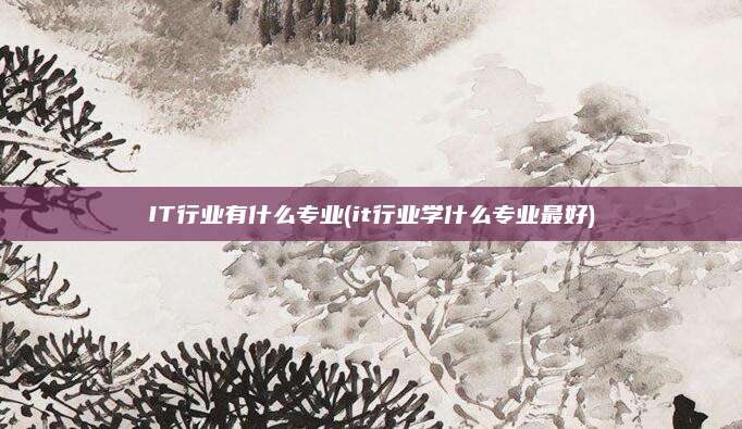 IT行业有什么专业(it行业学什么专业最好)