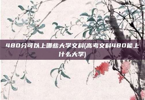 480分可以上哪些大学文科(高考文科480能上什么大学)