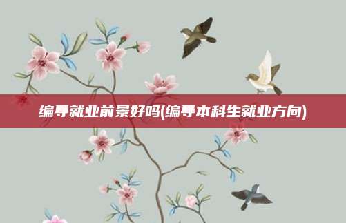 编导就业前景好吗(编导本科生就业方向)