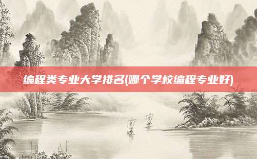 编程类专业大学排名(哪个学校编程专业好)