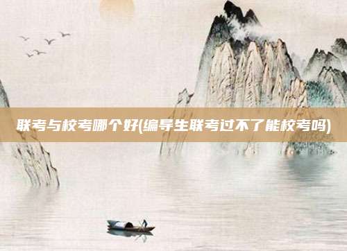 联考与校考哪个好(编导生联考过不了能校考吗)