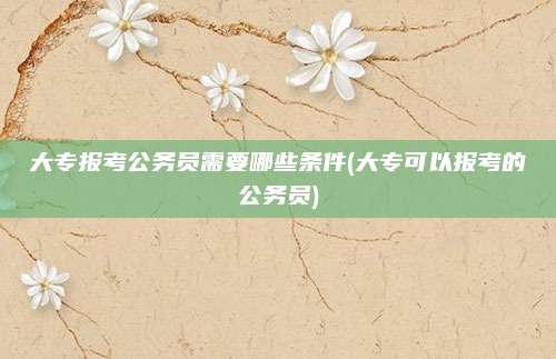 大专报考公务员需要哪些条件(大专可以报考的公务员)