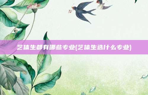 艺体生都有哪些专业(艺体生选什么专业)