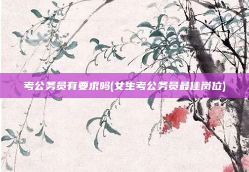 考公务员有要求吗(女生考公务员最佳岗位)