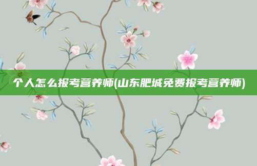 个人怎么报考营养师(山东肥城免费报考营养师)
