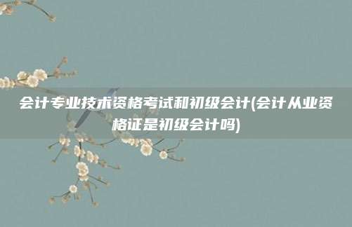 会计专业技术资格考试和初级会计(会计从业资格证是初级会计吗)
