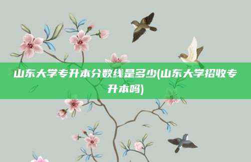 山东大学专升本分数线是多少(山东大学招收专升本吗)