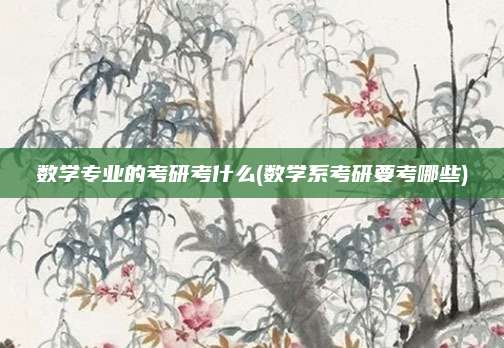 数学专业的考研考什么(数学系考研要考哪些)