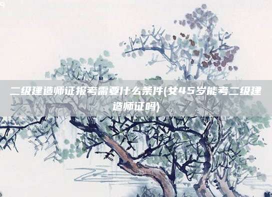 二级建造师证报考需要什么条件(女45岁能考二级建造师证吗)