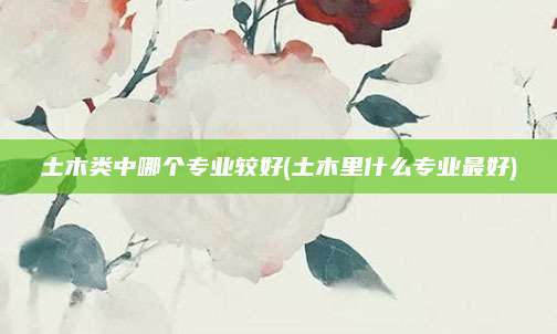 土木类中哪个专业较好(土木里什么专业最好)