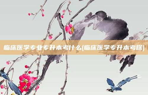 临床医学专业专升本考什么(临床医学专升本考啥)