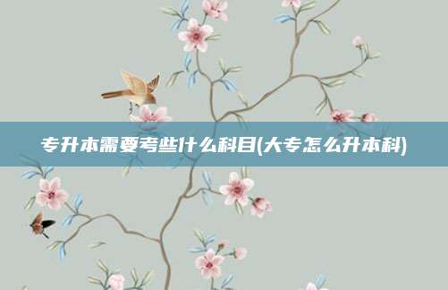 专升本需要考些什么科目(大专怎么升本科)