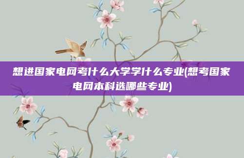 想进国家电网考什么大学学什么专业(想考国家电网本科选哪些专业)