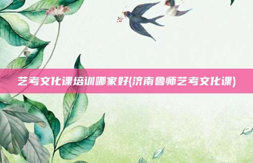 艺考文化课培训哪家好(济南鲁师艺考文化课)