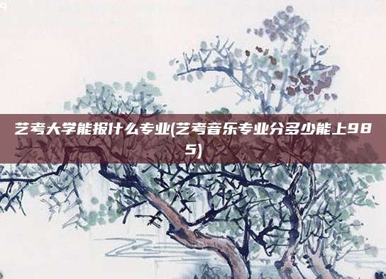 艺考大学能报什么专业(艺考音乐专业分多少能上985)