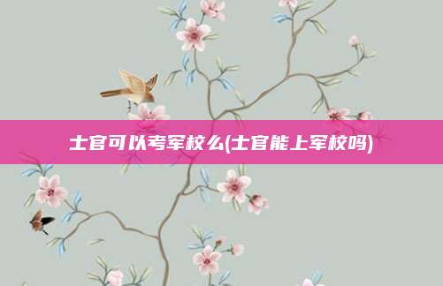 士官可以考军校么(士官能上军校吗)