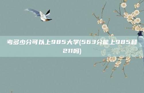 考多少分可以上985大学(563分能上985和211吗)