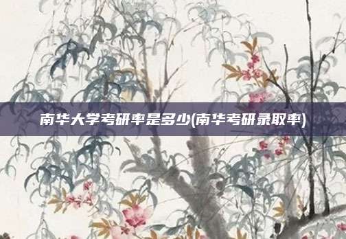 南华大学考研率是多少(南华考研录取率)