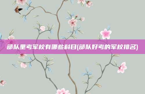 部队里考军校有哪些科目(部队好考的军校排名)