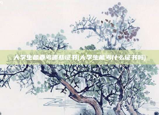 大学生都要考哪些证书(大学生能考什么证书吗)