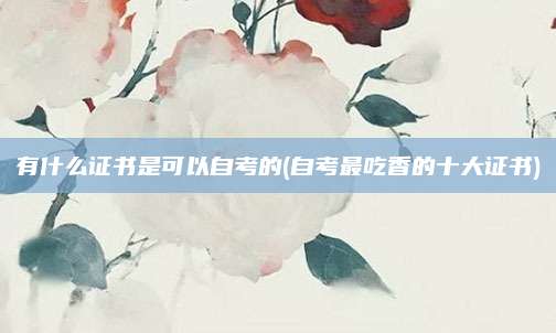 有什么证书是可以自考的(自考最吃香的十大证书)