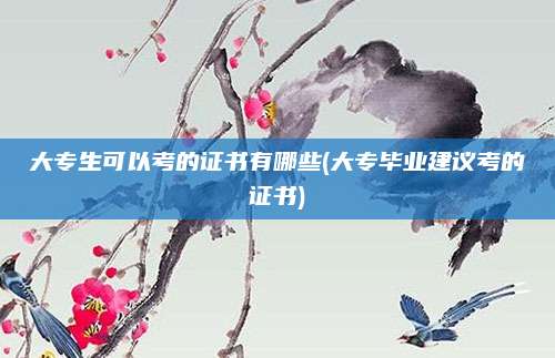 大专生可以考的证书有哪些(大专毕业建议考的证书)