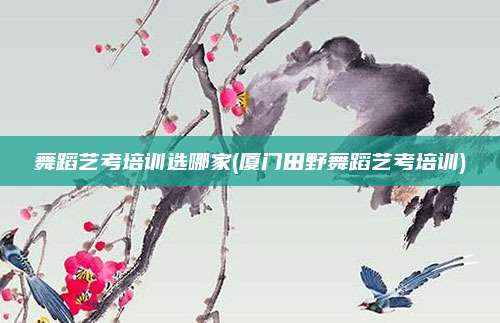 舞蹈艺考培训选哪家(厦门田野舞蹈艺考培训)