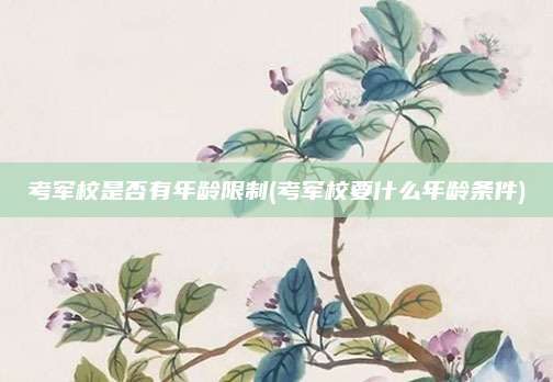 考军校是否有年龄限制(考军校要什么年龄条件)