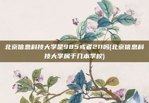 北京信息科技大学是985或者211吗(北京信息科技大学属于几本学校)