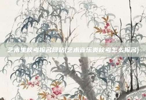艺术生校考报名网站(艺术音乐类校考怎么报名)