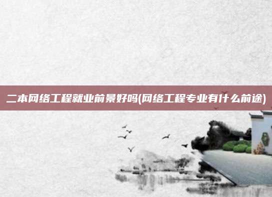 二本网络工程就业前景好吗(网络工程专业有什么前途)