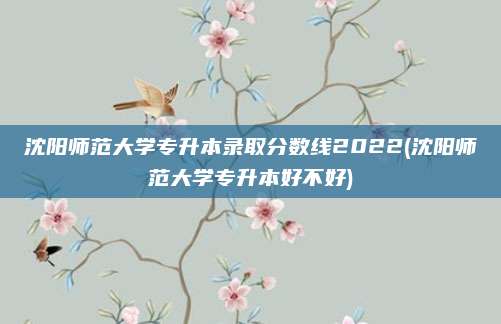 沈阳师范大学专升本录取分数线2022(沈阳师范大学专升本好不好)