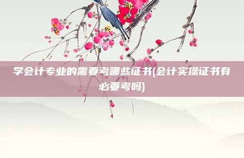 学会计专业的需要考哪些证书(会计实操证书有必要考吗)