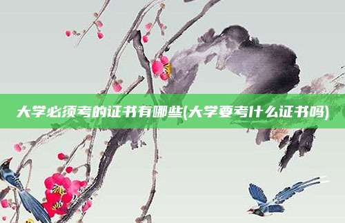 大学必须考的证书有哪些(大学要考什么证书吗)