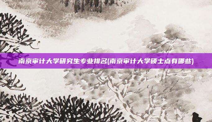 南京审计大学研究生专业排名(南京审计大学硕士点有哪些)