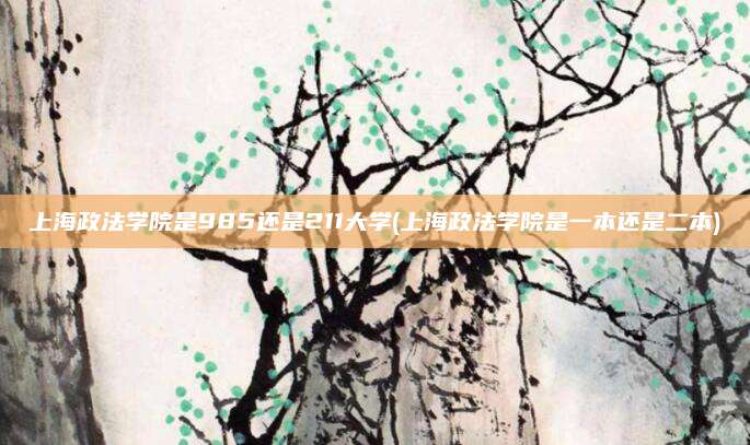 上海政法学院是985还是211大学(上海政法学院是一本还是二本)