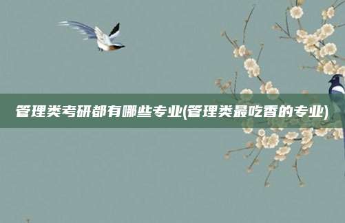 管理类考研都有哪些专业(管理类最吃香的专业)