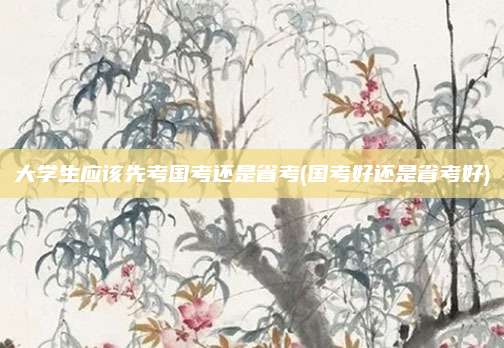 大学生应该先考国考还是省考(国考好还是省考好)